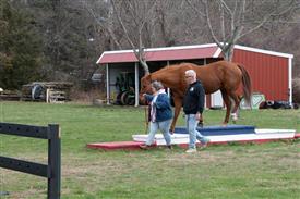 LR-WRF 0402026 Retreat-3525